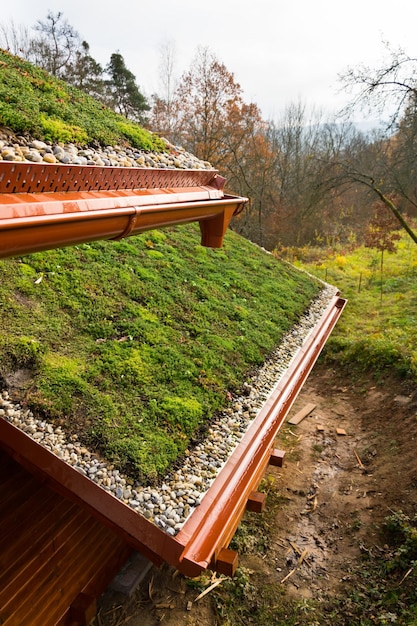 Casa de madeira com extenso telhado verde vivo coberto de vegetação