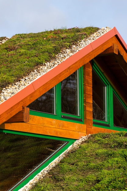 Foto casa de madeira com extenso telhado verde vivo coberto de vegetação