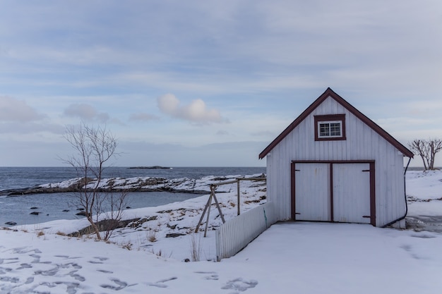 Casa de madeira com paisagem de neve