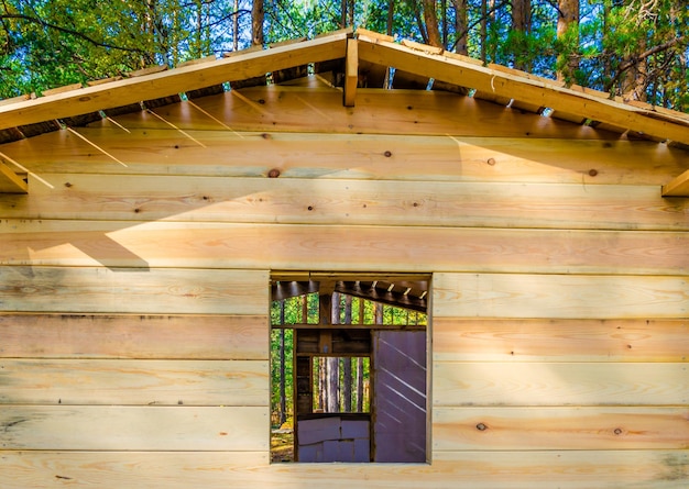 Casa de madeira inacabada na floresta no verão.