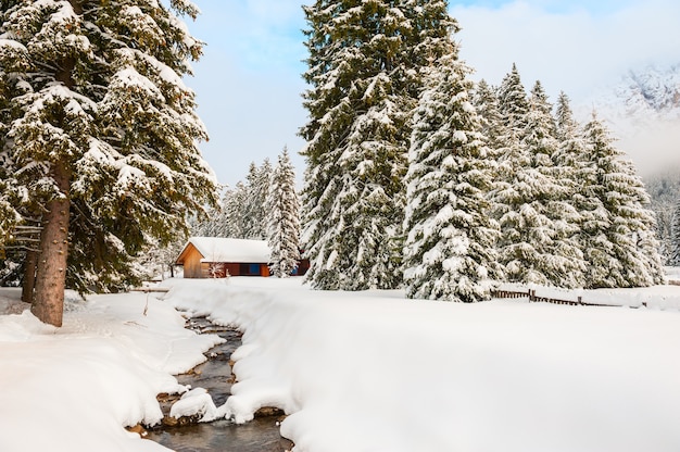 Casa de madeira na floresta de inverno após a queda de neve. Alpes Dolomitas, Val di Fassa, Itália