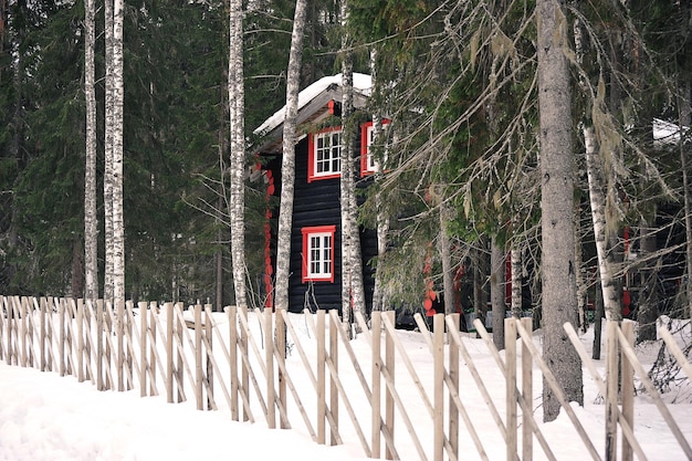 Casa de madeira na floresta de inverno com madeira