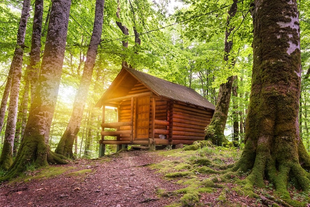 Casa de madeira na floresta perto do lago Biogradsko em Montenegro