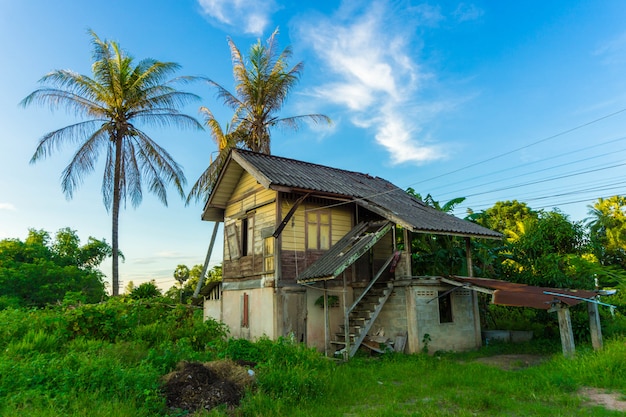 Casa de madeira velha