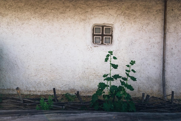 Casa de parede de barro de adobe