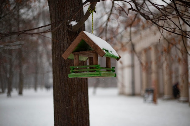 Casa de passarinho coberto de neve em um parque de Varsóvia