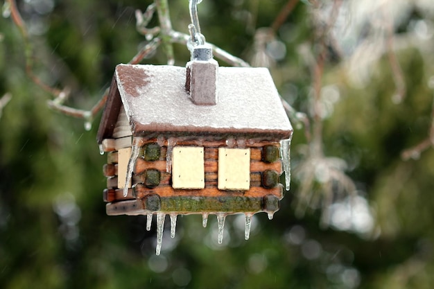 Casa de pássaros com geada de neve e gelo