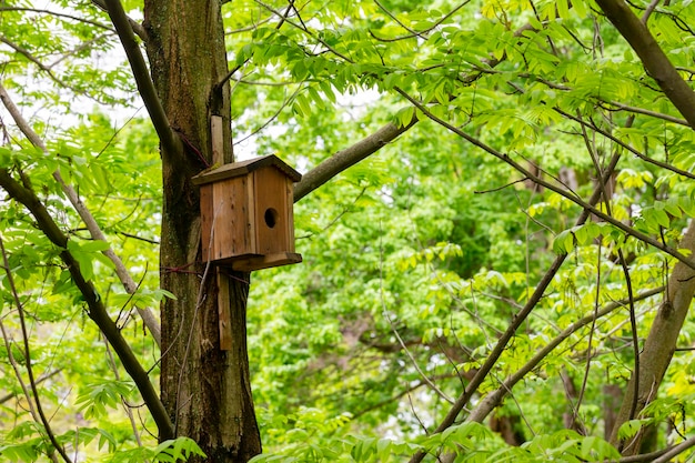 Casa de pássaros em uma árvore Caixa de nidificação de madeira para pássaros no parque