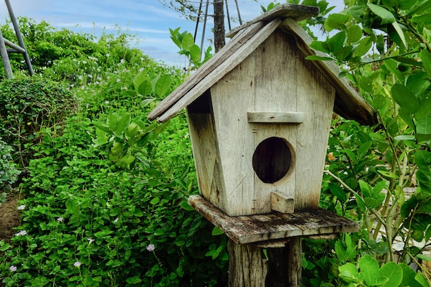 Casa de pássaros feita de madeira Caixa de pássaros feita à mão no jardim