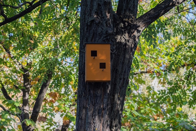 Casa de pássaros marrom de madeira em um tronco de árvore no parque Uma casa para os pássaros Alimentador de pássaros Copiar espaço