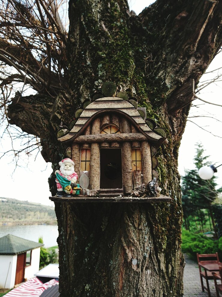Foto casa de pássaros na árvore