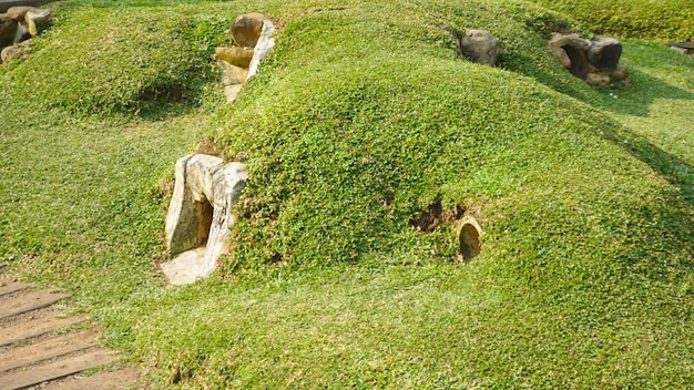 Casa do coelho em forma de buracos e montículos