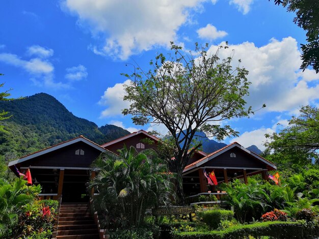 Foto casa em meio a plantas e árvores construindo contra o céu