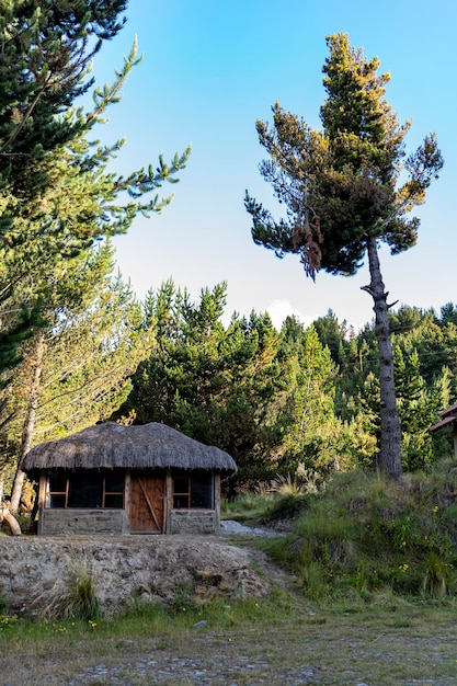 casa en el bosque