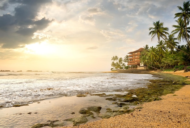 Casa entre palmeiras em uma praia do oceano