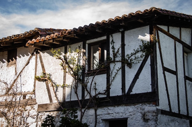 Casa española antigua y tradicional entre vegetación Enfoque selectivo Copiar espacio