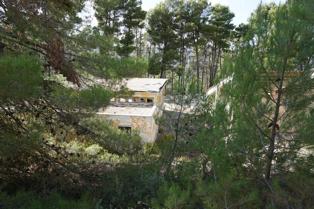 La casa está rodeada de árboles y está rodeada de árboles.