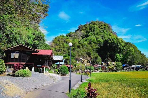 Casa de familia de madera en la noche en perlis malasia Foto Premium