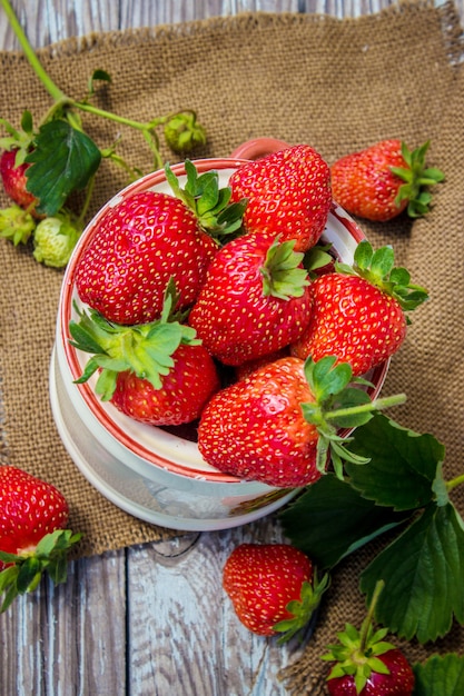 Casa de fresas del jardín. Enfoque selectivo