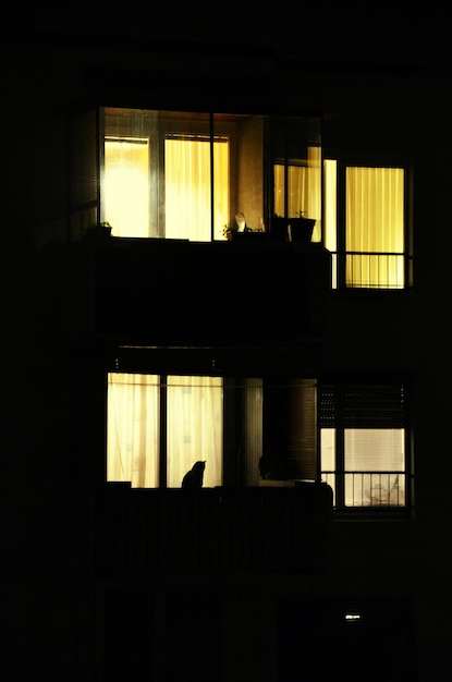 Foto casa iluminada à noite