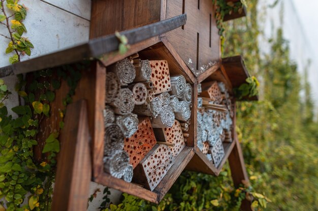 Casa de insectos en el jardín Protección de insectos insectos y abejas