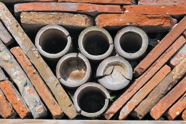 Casa para insectos