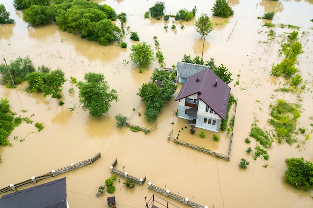 Casa inundada y árboles verdes.