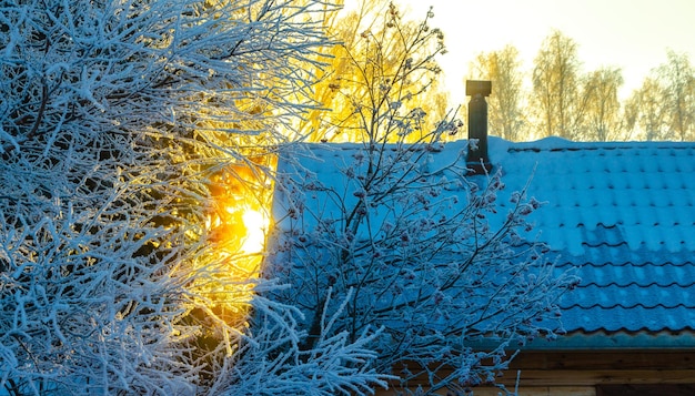 Una casa en invierno en el bosque al amanecer.