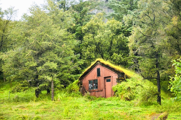 Casa islandesa tradicional com telhado de grama verde em uma floresta. Islândia