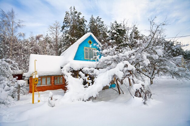 Casa y jardín cubiertos de nieve