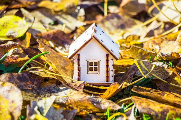 Foto casa de juguete de madera entre hierba verde.