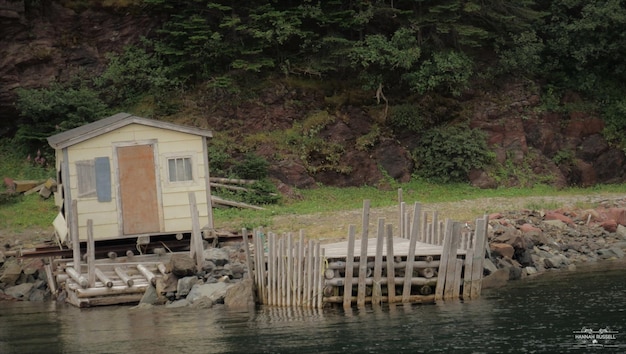 Foto casa junto al río contra árboles y plantas