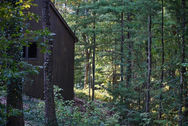 Foto casa junto a los árboles en el bosque