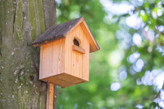 Casa de madera amarilla del pájaro en un tronco de árbol en parque verde al aire libre.