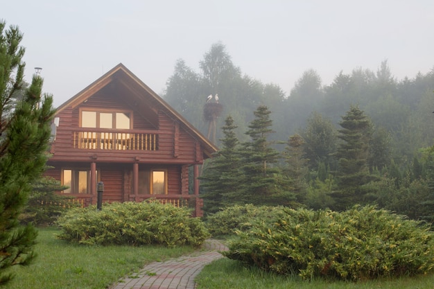 Casa de madera entre los árboles al amanecer en verano