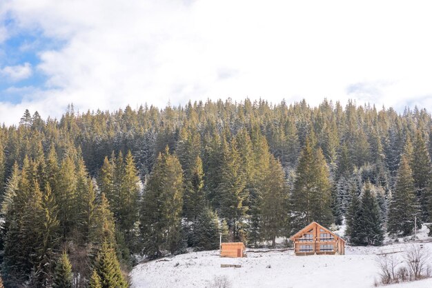 Casa de madera en un hermoso bosque de coníferas verde invierno en las laderas de las montañas Recreación al aire libre en la temporada de invierno