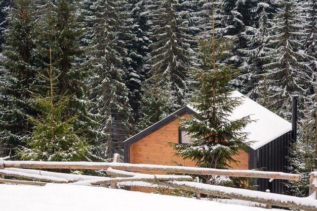 Casa de madera en un hermoso bosque de coníferas verde invierno en las laderas de las montañas Recreación al aire libre en la temporada de invierno