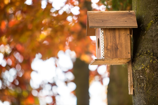 Casa de madera marrón para pájaros o nido adjunto al tronco del árbol en el parque otoño