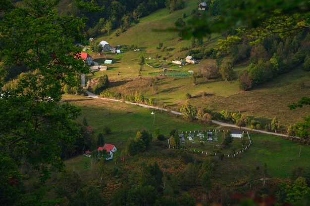 Casa de madera en paisaje salvaje.