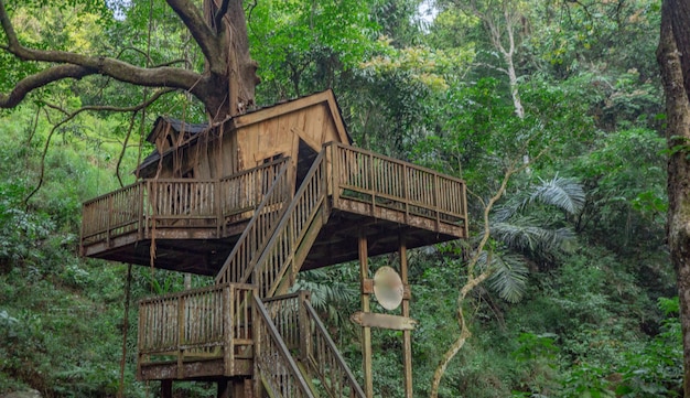 Casa de madera en el pinar cuando la temporada de primavera