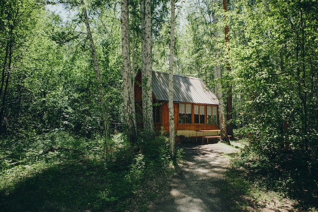 Casa de madera de verano en un bosque de abedules.