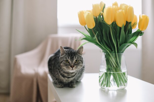 casa mascota lindo gatito gato con flores en el interior