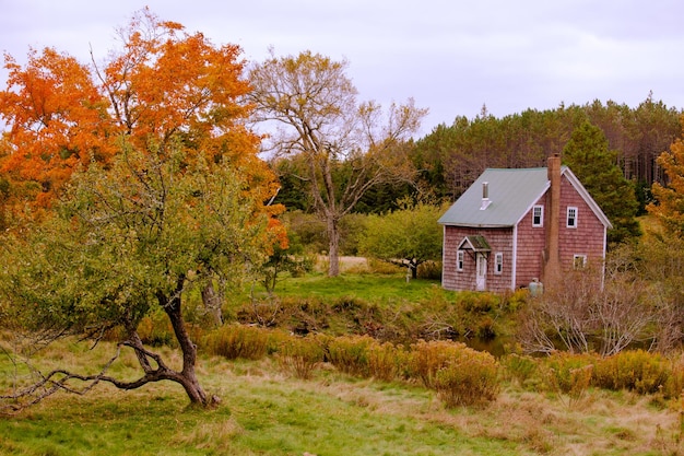 Casa en medio de los árboles en el campo contra el cielo