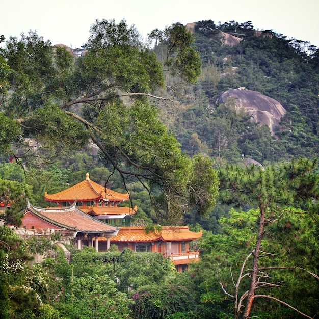 Foto casa en medio de árboles y montañas en el bosque