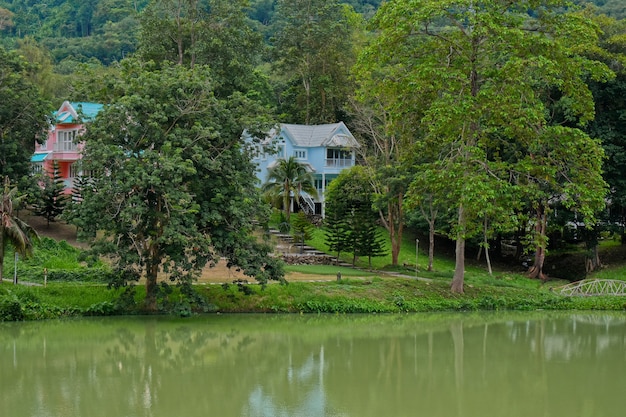 casa en medio del bosque