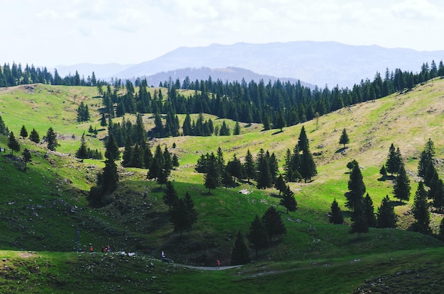 Casa de montaña en una colina verde. Paisaje de pradera alpina. Gran Meseta de Pasto. Alpes. Eslovenia