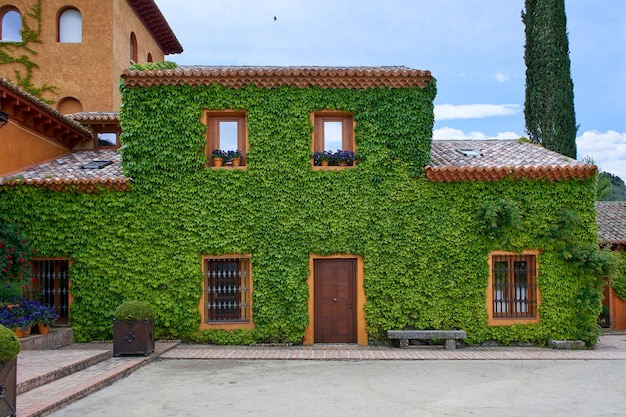 Casa con muro cubierto de enredadera