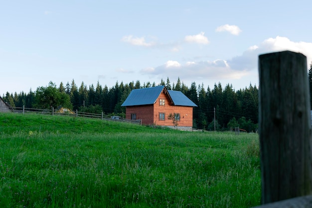 Casa na floresta. A vida na floresta