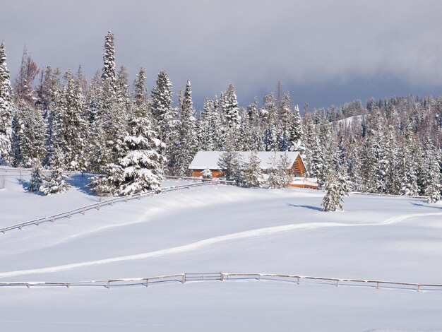 Casa na floresta coberta de neve.