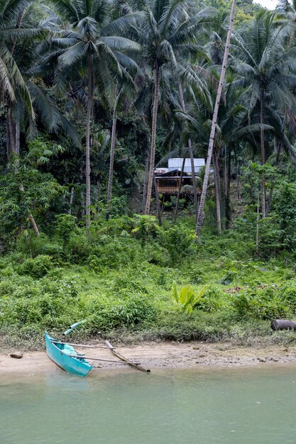 Foto casa na selva ao lado do rio